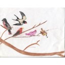 Various small birds