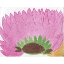 Magenta ground flower