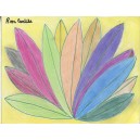 Colorful Leaf Plant