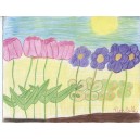 Pretty Flowers